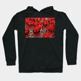 Sturt's Desert Pea Hoodie